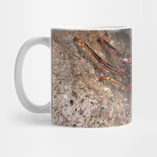 Red Rock Crab Mug